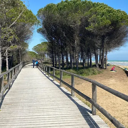 With Garden Bibione